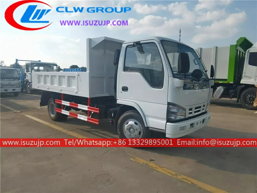 4x4 Isuzu 5 ton excavator dump truck