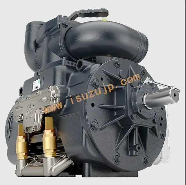 Roots vacuum pump