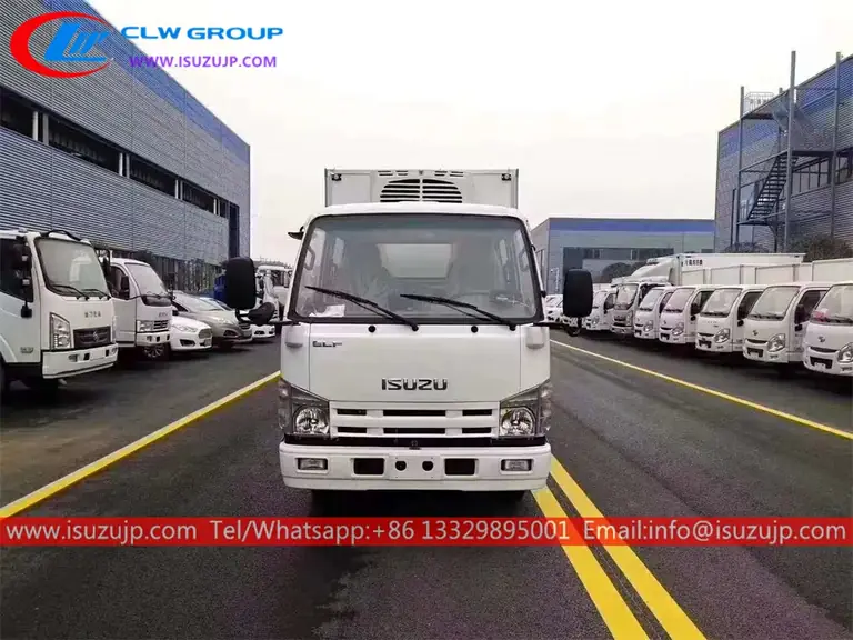 ISUZU Double cabin small freezer trucks