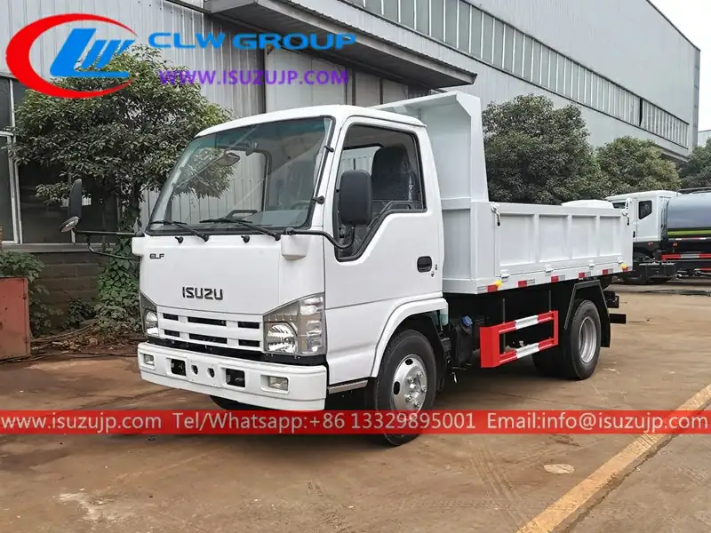 Isuzu mini dump truck for sale