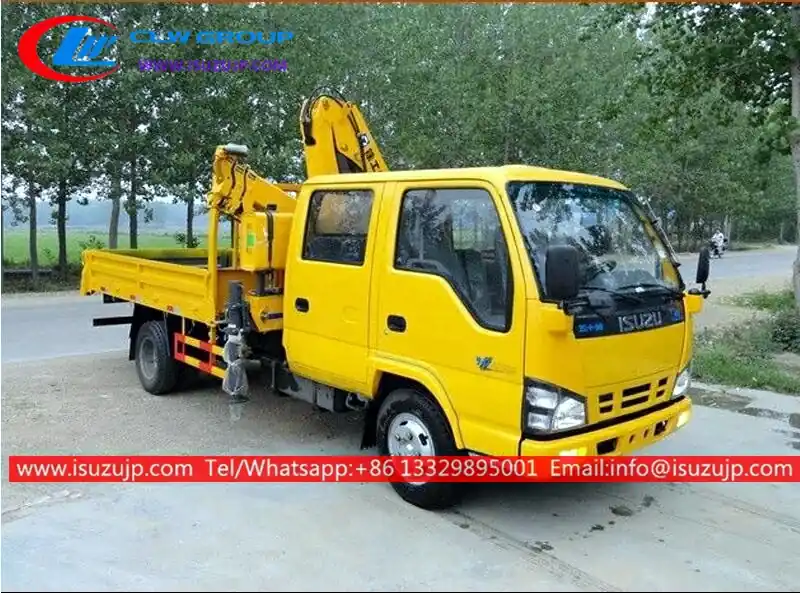 ISUZU Double cabin small 3000kg knuckle boom crane
