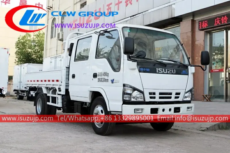 ISUZU NKR 5 tonne cargo container truck