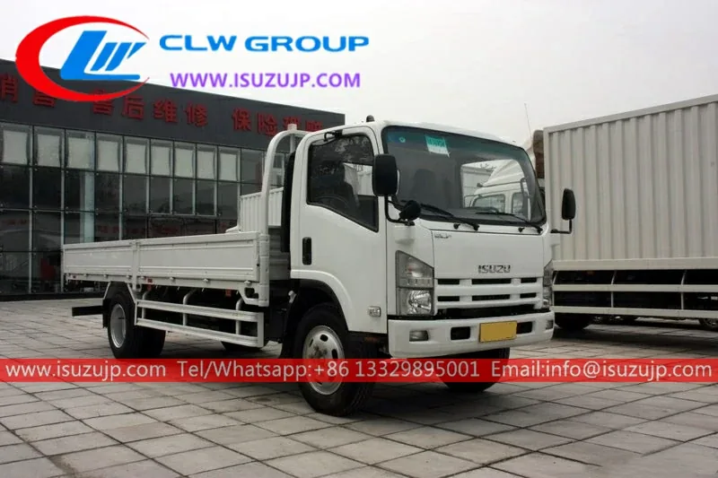 ISUZU NPR 8 ton cargo truck