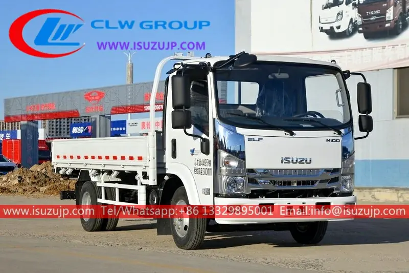 Japan Isuzu M100 5t goods carrier truck